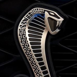 Meet your Posher, Angel